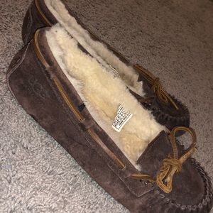 brown UGG slippers